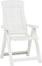 vidaXL - Tuinstoelen - 2 - st - verstelbaar - kunststof - wit