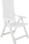 vidaXL - Tuinstoelen - 2 - st - verstelbaar - kunststof - wit