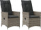vidaXL - Tuinstoelen - 2 - st - verstelbaar - met - kussens - poly - rattan - grijs