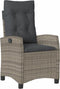 vidaXL - Tuinstoelen - 2 - st - verstelbaar - met - kussens - poly - rattan - grijs