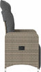 vidaXL - Tuinstoelen - 2 - st - verstelbaar - met - kussens - poly - rattan - grijs