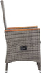 vidaXL - Tuinstoelen - 2 - st - verstelbaar - met - kussens - poly - rattan - grijs