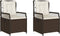 vidaXL - Tuinstoelen - 2 - st - verstelbaar - poly - rattan - bruin