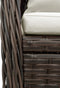 vidaXL - Tuinstoelen - 2 - st - verstelbaar - poly - rattan - bruin