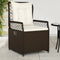 vidaXL - Tuinstoelen - 2 - st - verstelbaar - poly - rattan - bruin