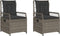 vidaXL - Tuinstoelen - 2 - st - verstelbaar - poly - rattan - grijs