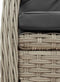 vidaXL - Tuinstoelen - 2 - st - verstelbaar - poly - rattan - lichtgrijs