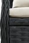 vidaXL - Tuinstoelen - 2 - st - verstelbaar - poly - rattan - zwart