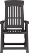 vidaXL - Tuinstoelen - 2 - st - verstelbaar - PP - antracietkleurig