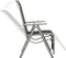vidaXL - Tuinstoelen - 2 - st - verstelbaar - textileen - aluminium - zilverkleurig