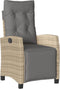 vidaXL - Tuinstoelen - 2 - st - verstelbaar - voetensteun - poly - rattan - beige - mix