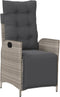 vidaXL - Tuinstoelen - 2 - st - verstelbaar - voetensteun - poly - rattan - lichtgrijs