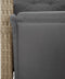 vidaXL - Tuinstoelen - 2 - st - verstelbaar - voetensteun - poly - rattan - beige - mix