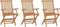 vidaXL - Tuinstoelen - 3 - st - inklapbaar - massief - teakhout