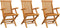 vidaXL - Tuinstoelen - 3 - st - massief - teakhout