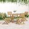vidaXL - Tuinstoelen - 4 - st - inklapbaar - 48,5x61,5x87 - cm - massief - acaciahout