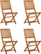 vidaXL - Tuinstoelen - 4 - st - inklapbaar - massief - eucalyptushout