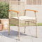 vidaXL - Tuinstoelen - 4 - st - met - kussens - poly - rattan - en - acaciahout - beige