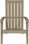 vidaXL - Tuinstoelen - Adirondack - 2 - st - polypropeen - lichtbruin