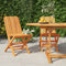 vidaXL - Tuinstoelen - inklapbaar - 2 - st - 47x47x89 - cm - massief - teakhout