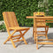 vidaXL - Tuinstoelen - inklapbaar - 2 - st - 47x47x89 - cm - massief - teakhout