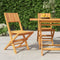 vidaXL - Tuinstoelen - inklapbaar - 2 - st - 47x61x90 - cm - massief - teakhout