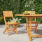 vidaXL - Tuinstoelen - inklapbaar - 2 - st - 47x61x90 - cm - massief - teakhout