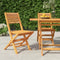 vidaXL - Tuinstoelen - inklapbaar - 2 - st - 47x62x90 - cm - massief - teakhout