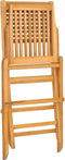 vidaXL - Tuinstoelen - inklapbaar - 2 - st - 47x62x90 - cm - massief - teakhout