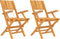 vidaXL - Tuinstoelen - inklapbaar - 2 - st - 55x61x90 - cm - massief - teakhout
