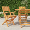 vidaXL - Tuinstoelen - inklapbaar - 2 - st - 55x61x90 - cm - massief - teakhout