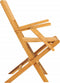vidaXL - Tuinstoelen - inklapbaar - 2 - st - 55x61x90 - cm - massief - teakhout