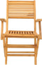 vidaXL - Tuinstoelen - inklapbaar - 2 - st - 55x62x90 - cm - massief - teakhout