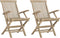 vidaXL - Tuinstoelen - inklapbaar - 2 - st - 56x61x89 - cm - massief - teakhout - grijs