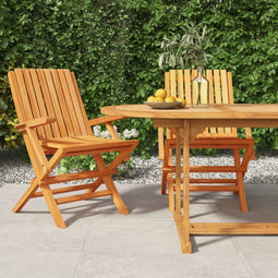 vidaXL - Tuinstoelen - inklapbaar - 2 - st - 61x67x90 - cm - massief - teakhout