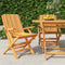 vidaXL - Tuinstoelen - inklapbaar - 2 - st - 61x67x90 - cm - massief - teakhout