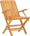 vidaXL - Tuinstoelen - inklapbaar - 2 - st - 61x67x90 - cm - massief - teakhout
