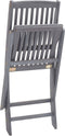 vidaXL - Tuinstoelen - inklapbaar - 2 - st - massief - acaciahout