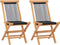 vidaXL - Tuinstoelen - inklapbaar - 2 - st - massief - teakhout - en - touw