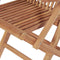 vidaXL - Tuinstoelen - inklapbaar - 2 - st - massief - teakhout