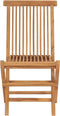 vidaXL - Tuinstoelen - inklapbaar - 2 - st - massief - teakhout
