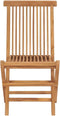vidaXL - Tuinstoelen - inklapbaar - 2 - st - massief - teakhout