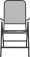 vidaXL - Tuinstoelen - inklapbaar - 2 - st - metaalgaas - antracietkleurig