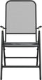 vidaXL - Tuinstoelen - inklapbaar - 2 - st - metaalgaas - antracietkleurig