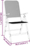 vidaXL - Tuinstoelen - inklapbaar - 2 - st - metaalgaas - antracietkleurig