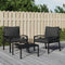 vidaXL - Tuinstoelen - met - grijze - kussens - 2 - st - 68x76x79 - cm - staal