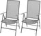 vidaXL - Tuinstoelen - stapelbaar - 2 - st - staal - grijs