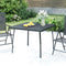 vidaXL - Tuintafel - 100x100x72 - cm - staalgaas - antracietkleurig