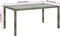 vidaXL - Tuintafel - 150x90x75 - cm - gehard - glas - en - poly - rattan - grijs