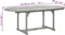vidaXL - Tuintafel - 200x100x75 - cm - massief - acaciahout - grijs